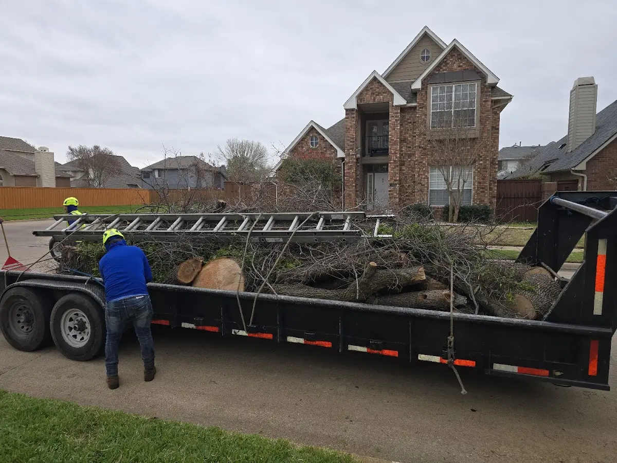 Expert Tree Removal with proper safety equipment in Wakefield